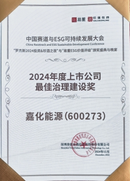 2024年度上市公司最佳治理建設(shè)獎(jiǎng)